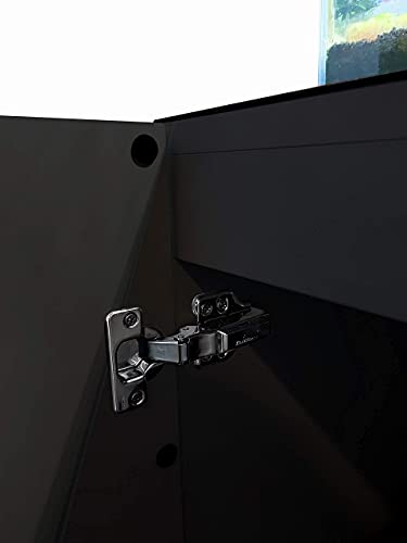 Landen Aquarium Wooden Stand and Cabinet for up to 20 Gal Tank, Fish Reptile Sea Salt WaterTank Stand, Nano Foam… - Image 7