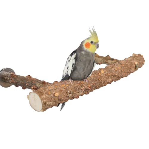 Image of Natural Pepper Wood Bird Perches for Parrot - Wooden Bird Parrot Stand Branches Parakeet Cage Perch Accessories for Small Birds Budgies Cockatiels Conure Lovebirds