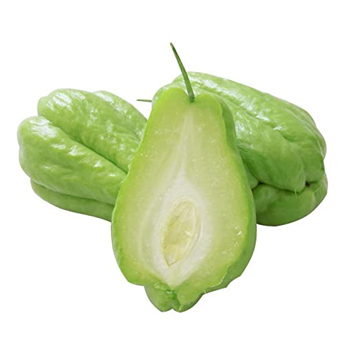Chayote Samen Die 15 besten Produkte im Vergleich Elternchecker