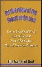 Paperback An Overview of the Feasts of the Lord Book