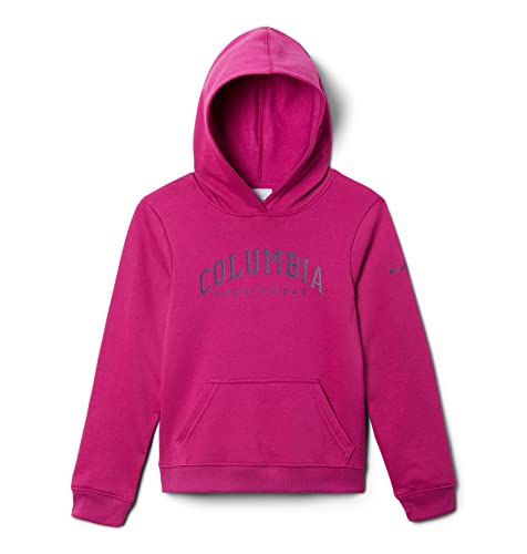 Columbia Trek Hoodie : sweat chaud pour enfant mixte