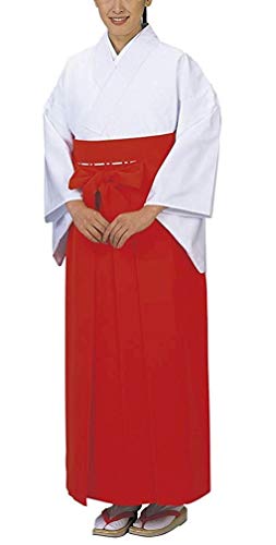 ޏp߁iI[V[YpEVfރZs[j (L)