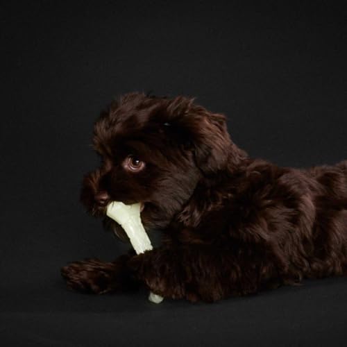 HUNTER Hundespielzeug Kisa Farbe Knochen, Größe 11 cm