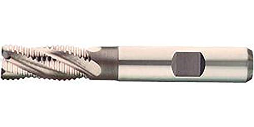 Preisvergleich Produktbild Format 7621902000 Erdbeere Schruppen HSSE 20.0 mm Nr Format