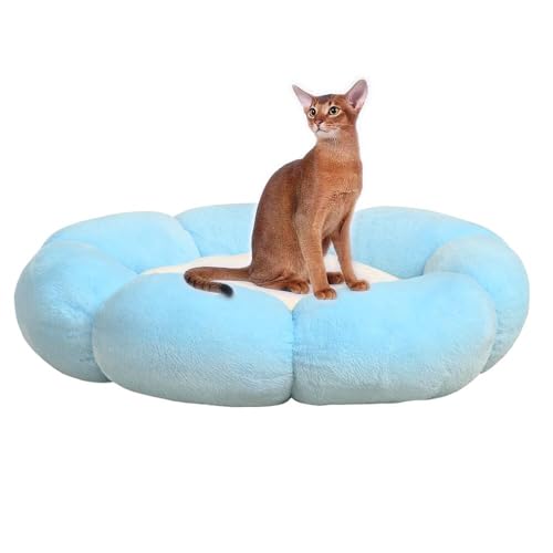 Lifetips ArVjAL Ar ӂӂybgxbh Lp 􂦂 ~ ~p NbV ʔNΉ ې􂢉 Lpxbh ~p ~ߒ 􂦂Jo[ ᔽNbV iXJCu[j