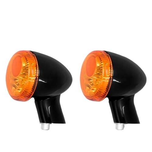 Clignotants moto LED pour rouler de nuit en sécurité sur custom Sportster