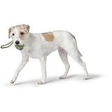 HUNTER Hundespielzeug Inari S lindgrün, Ø = 6 cm (20 cm Gesamtlänge)