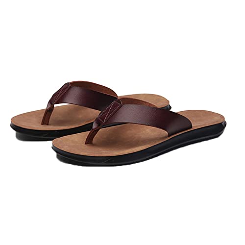 [GUREITOJP] gOT_ @t Y v r[`T_ 傫TCY ʋC ėp RtH[g ItBX Xbp rWlX Xgbv  _炩 p JWA ʋC NbV j ̓ ₷