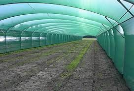 Image of BIO BLOOMS AGRO INDIA PRIVATE LIMITED Gardening SHADENET 90% Shade 3X50 Meters Thin Material Role Green UV Treated Long Life 10 x 164 feet