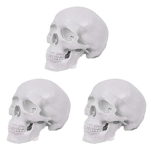 Hlsicnalm(wVL) 3X ~jlԂ̓WfAO\ȓWƊ֐ߎ̉{ 3 ̕ȂUwIWf