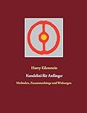 Kundalini für Anfänger: Methoden, Zusammenhänge und Wirkungen - Harry Eilenstein 