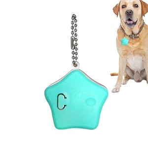 Generisch Wiederaufladbare Stern Hundemarke Türkis