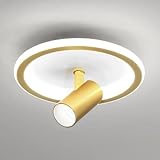 Source lumineuse LED: Économe en énergie, elle offre une luminosité élevée, une faible consommation et une longue durée de vie. La lumière émise est uniforme, douce et non éblouissante, ce qui protège efficacement les yeux. Type de source lumineuse: LED (ronde: 30W; carrée: 32W), Tension: 110V/220V-240V, Température de couleur: lumière chaude 3000K/lumière blanche 6000K.