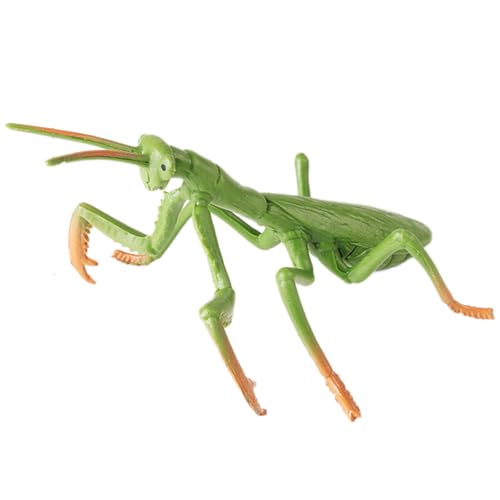 AENIMELY Large Praying Mantis Figurine – Hollow Realistic Insect Bug Model Toy for Kids – Educational Bug Toy for Science and Nature Learning