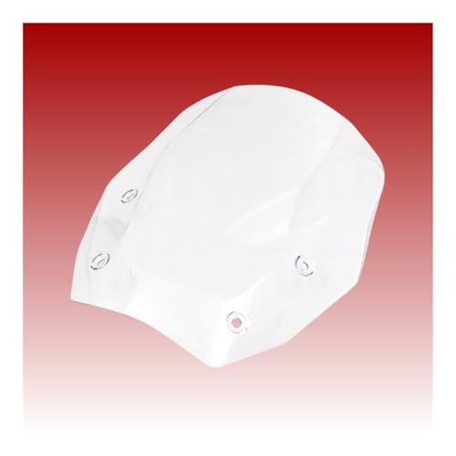 Pare-brise moto R1300GS 2023-2024 déflecteur Color-C