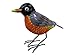 Small 5.5 Inch x 8 Inch Rustic Spring Robin Red Breast Metal Tin Song Bird Figurine Statue