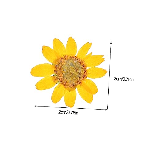 ULDIGI 24 Unidades Crisântemo imperador seco marcadores de livros marcadores de página maníaco flore