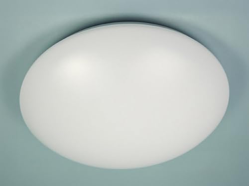 Niermann Standby Deckenleuchte 29 cm, 1 flammige Wandleuchte, Deckenleuchte aus Stahl und Kunststoff, Farbe: Weiß, Fassung: E27, für Bad, Flur, Keller, Garage, Treppenhaus