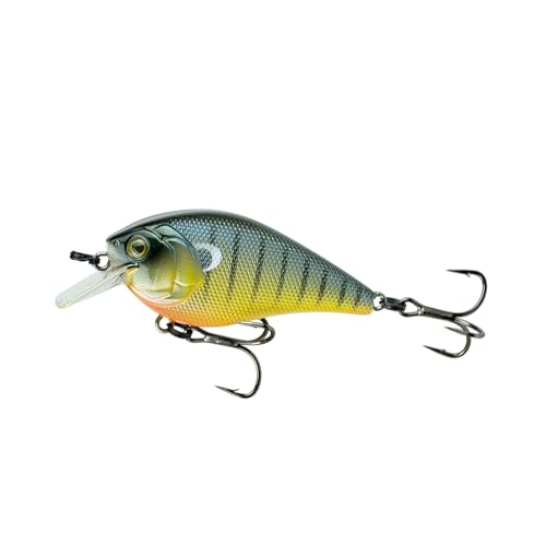 Crush Squarebill, Backwater Bluegill, 50X (Faint...
