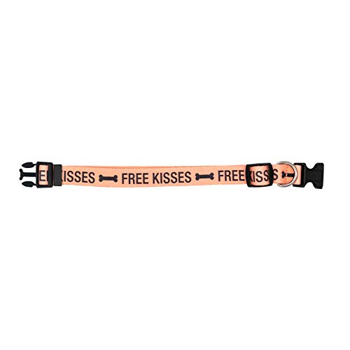 About Face Designs Free Kisses Small/Medium Dog Collar, Peach