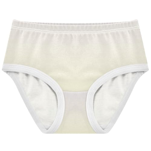 Joisal Toddlers Underwear Floral 2t Cotton Cute Panties Girl Designer Briefs Undies Kids Magnolia Cream Gradient Ombre