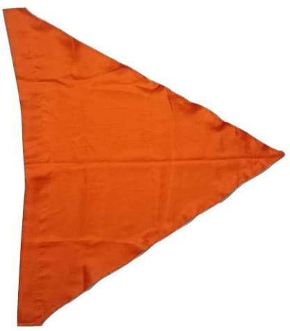 Bhagwa flag bhagwa jhanda pack of 4 size 1 Metre price 399 (B08ZNNLRLN) Amazon Price History, Amazon Price Tracker