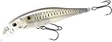  LUCKY CRAFT Pointer SP 65 mm Wobbler Lure Kunstköder Japan Farbe Live Striped Shad