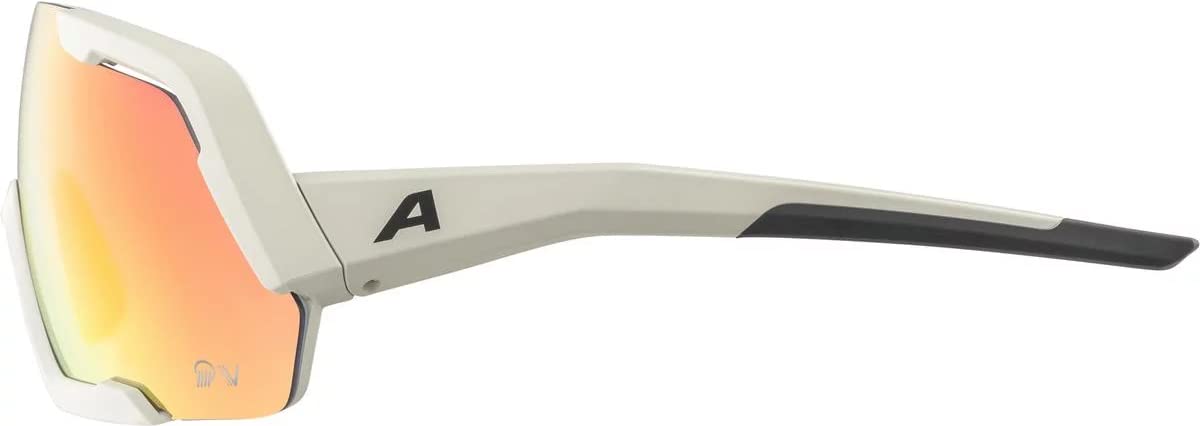 ALPINA Unisex - Dorośli, ROCKET QV Okulary sportowe, cool-grey matt/rainbow, One Size