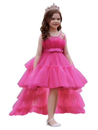 Crewneck Tiered Flower Girl Dress for Wedding Puffy Tulle A Line Formal Pageant Ball Gown