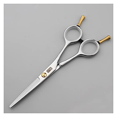 Ciseaux de coiffure professionnels pour coupe et frange