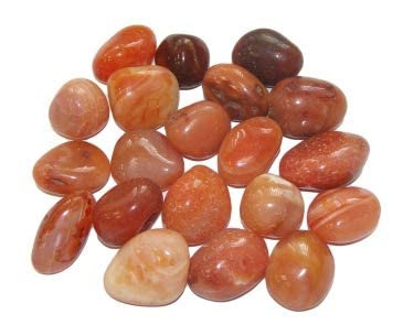 Red Carnelian Tumble Stones for Reiki Healing and Vaastu Correction and Increase Creativity 200 Grams Tumble Stone Size 20 to 25 Approx (B0C55M3J72) Amazon Price History, Amazon Price Tracker