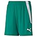 PUMA Unisex Baby Teamliga Shorts Jr, Pfeffer Grün-p, 9 años