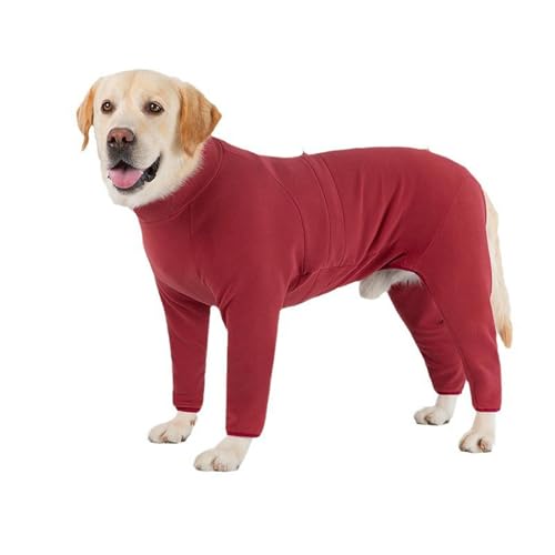 IUOUTG gt[XWvX[cÃv[tvI[o[pW}Ah[XgOfUC̃V[́AƑ^p̃X[cE
