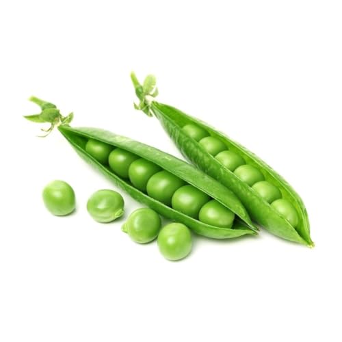 Fresh Green Peas 450-500 gm India