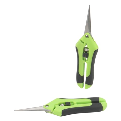 ZEONHAK 12 PCS 6.5 Inch Green Bud Trimming Scissors, Stainless Steel Bud Trim Scissors, Straight Tip Gardening Pruning Shears Pruners for Gardening 5 ZEONHAK 12 PCS 6.5 Inch Green Bud Trimming Scissors, Stainless Steel Bud Trim Scissors, Straight Tip Gardening Pruning Shears Pruners for Gardening - Image 5