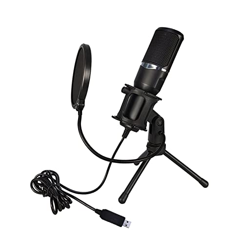 Microphone studio à la maison pour session d'enregistrement - 3