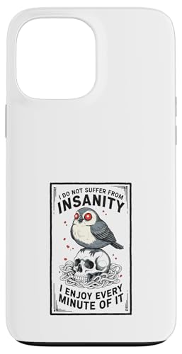 �u���b�N���[���A ���C�̖��� ����Ȓ��Ɗ[���A�[�g �X�}�z�P�[�X iPhone 13 Pro Max �p