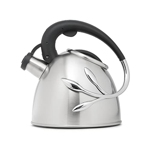 Top 10 Best Small Whistling Tea Kettle Reviews & Buying Guide Katynel