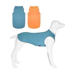 2 Pack Hundeshirts, schnell trocknende leichte Hunde-T-Shirts ärmellose Weste, atmungsaktiv Haustier Kleidung Tank Top für große mittlere kleine Hunde Junge Mädchen (Mint Blau+Orange Gelb, M)