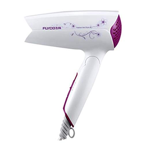 Flyco Family Barber Shop High Power Hot and Cold Wind No Hurt Hair Mini Fold Portable Haartrockner