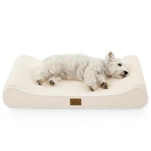 COZY KISS Orthopädisches Hundebett für Große Hunde mit Erhöhtem Rand, 91x61x14cm, als Waschbare Hundematte mit Verstärktem Komfortschaum und als Wasserdichtes, Rutschfestes Hundekissen, Beige