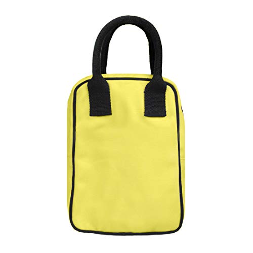 Eco Right Lunch Bags for Office Women & Lunch Bag for Men, Insulated Lunch Bag for Kids, Office Lunch Bag with Bottle Holder, Carry Handle & Pocket