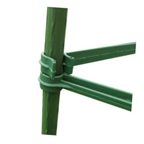 SOLUSTRE 24 AYRlN^ yʃvX`bN g\ȐAXe[Nڑbh g}g LE͔|p K[fpxuPbg ȒP