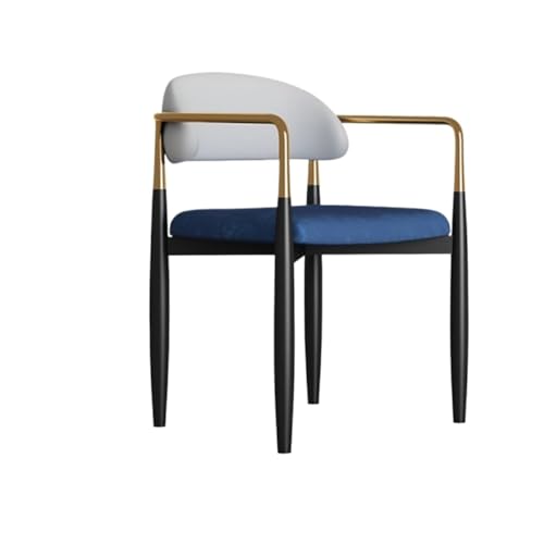 SLOQYNAPU Sillas De Comedor Ligeras De Lujo, Respaldos for El Hogar, Mesas Y Sillas De Comedor Modernas Y Sencillas, Mesas Y Sillas De Té De Alta Gama, Sillas De Negociación, Lujo Liviano(E)