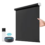 Motorized Blackout Window Blinds Customize Width (21-92 in) Remote Control Wireless and Rechargeable Roller Shades Blinds for Windows, Home, Office, Living Room, Master Room, Restaurant (Black)