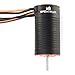 Spektrum Accessories Firma Sensored BL Motor/ESC 2-in-1 Combo, 2800Kv, SPMXSEM0502