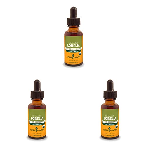 Herb Pharm Certified Organic Lobelia Liquid Extract For Musculoskeletal System Support - 1 Ounce (Dlobel01) (Pack Of 3) #TOP10