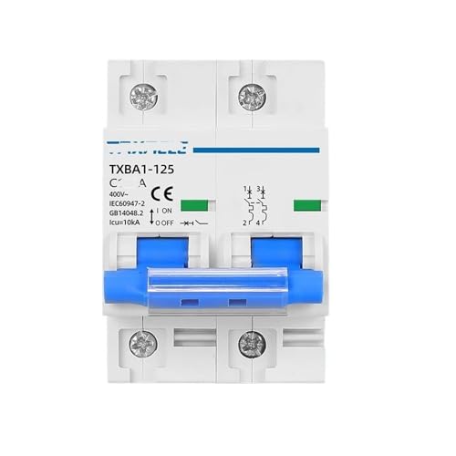 Disjoncteur AC 2P 230V 100A interrupteur air courbe de protection 10KA