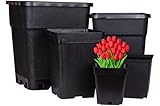 ✅ Perfectamente combinable con los posavasos de 33,5 x 33,5 cm de nuestra gama