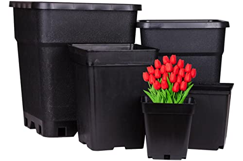 Weedness Blumentopf Kunststoff 18 Liter 30x30x32 cm Eckig in Schwarz für Innen & Außen - Topf Pflanzentopf Pflanzgefäß Pflanzkübel Anzuchttopf Blumenkübel Balkon Garten